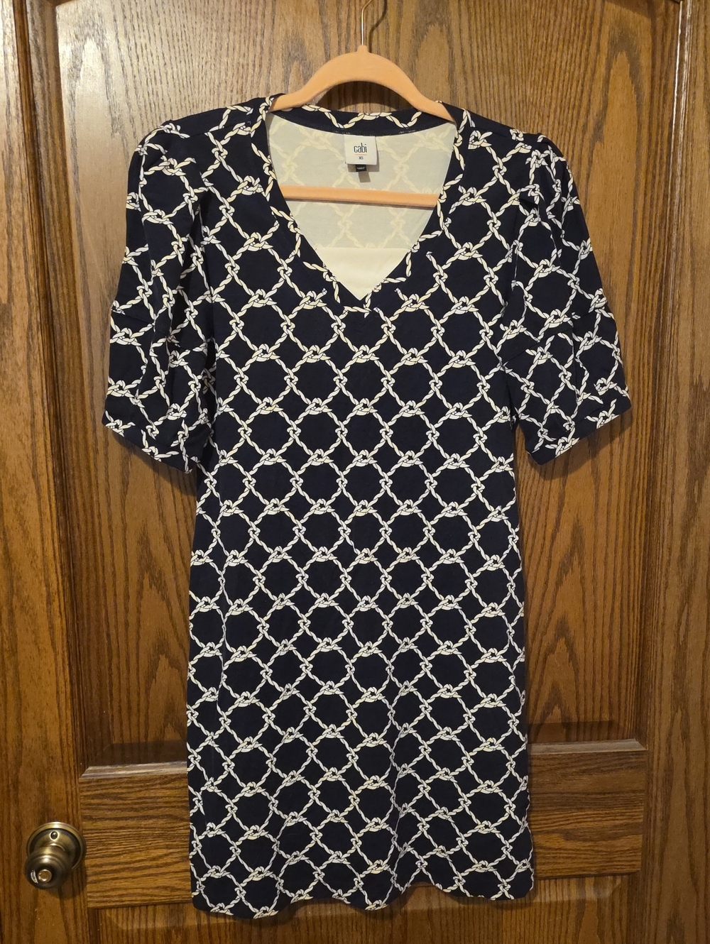 Cabi Dress